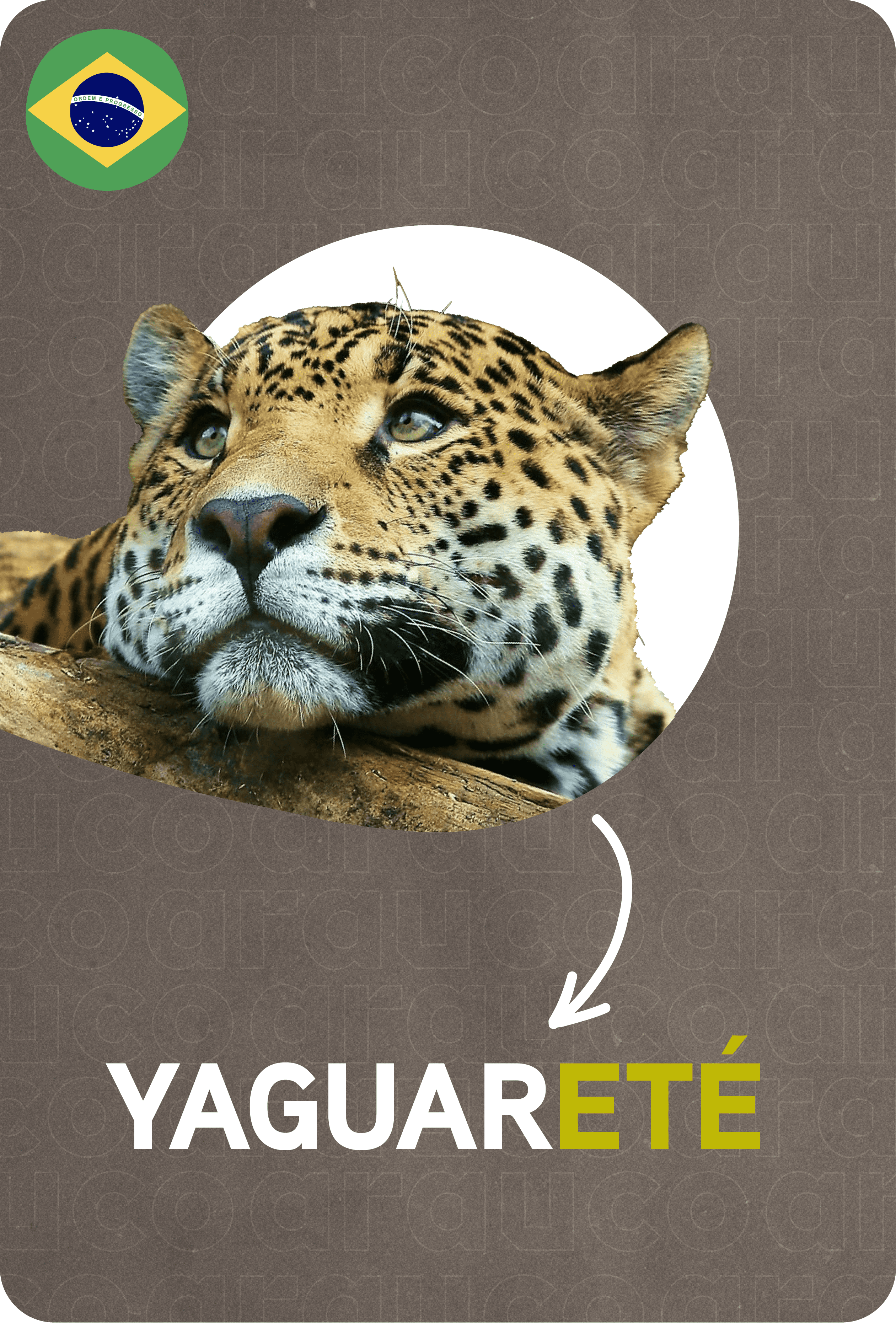 Arauco - Yaguarete