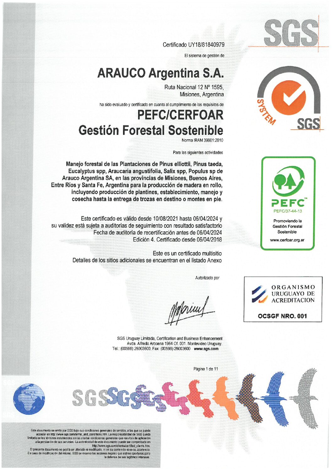 https://arauco.com/argentina/wp-content/uploads/sites/15/2017/07/Gestion-Forestal-PEFC-CERFOAR-pdf.jpg