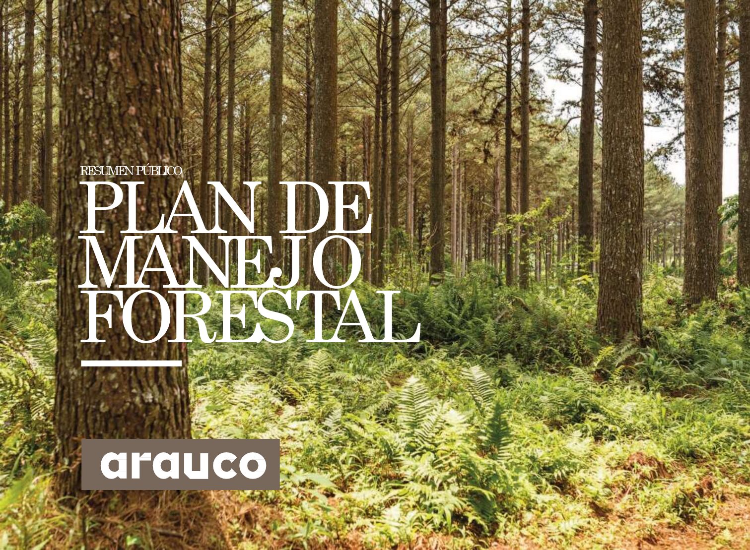 https://arauco.com/argentina/wp-content/uploads/sites/15/2017/07/Plan_de_Manejo_Forestal_Argentina-1-pdf.jpg