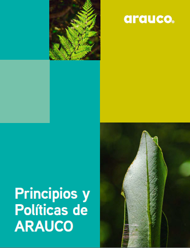 Principios y Políticas