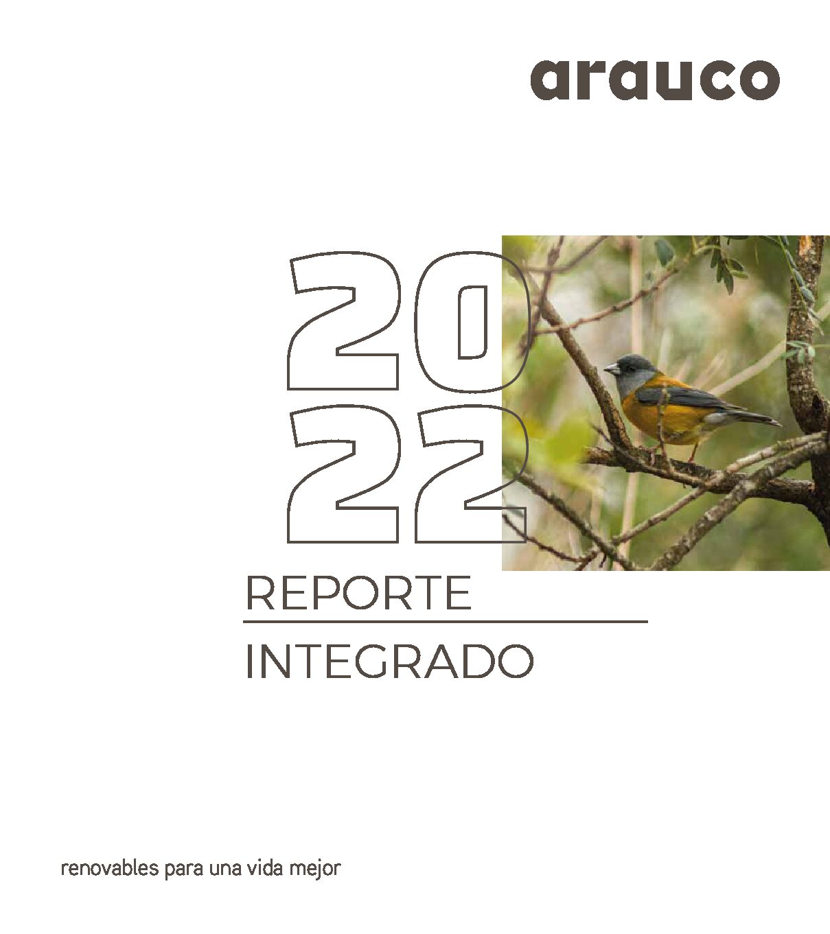 https://arauco.com/argentina/wp-content/uploads/sites/15/2017/07/REPORTE_INTEGRADO_ARAUCO-pdf.jpg