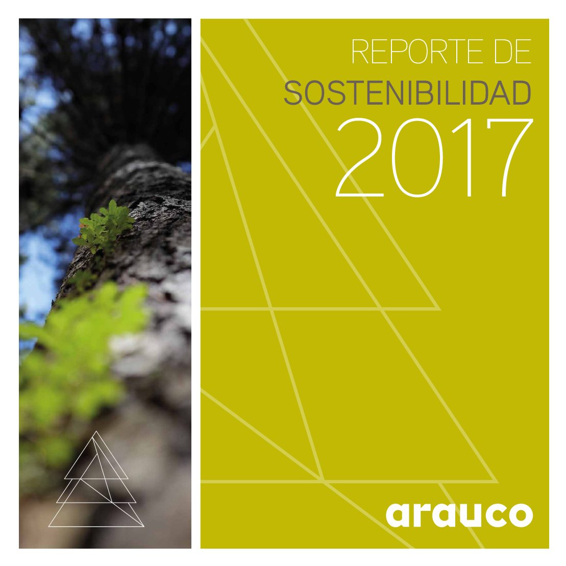 https://arauco.com/argentina/wp-content/uploads/sites/15/2017/07/REPORTE_PAGINAS_SOLAS-pdf.jpg