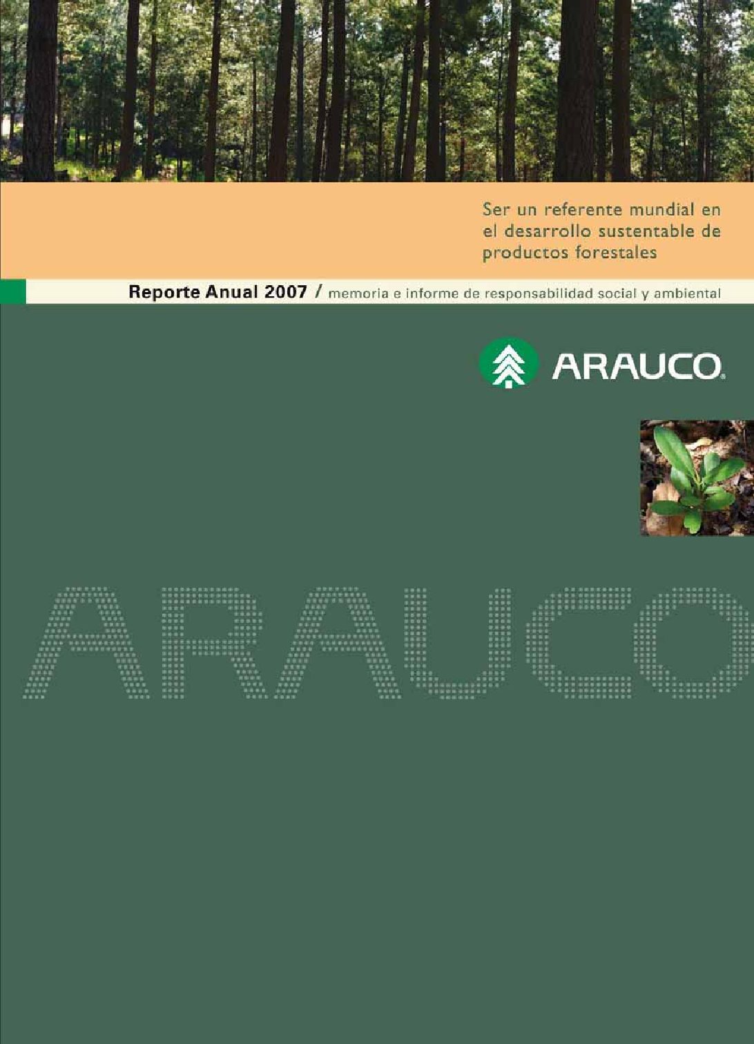 https://arauco.com/argentina/wp-content/uploads/sites/15/2017/07/Reporte-anual-2007-pdf.jpg