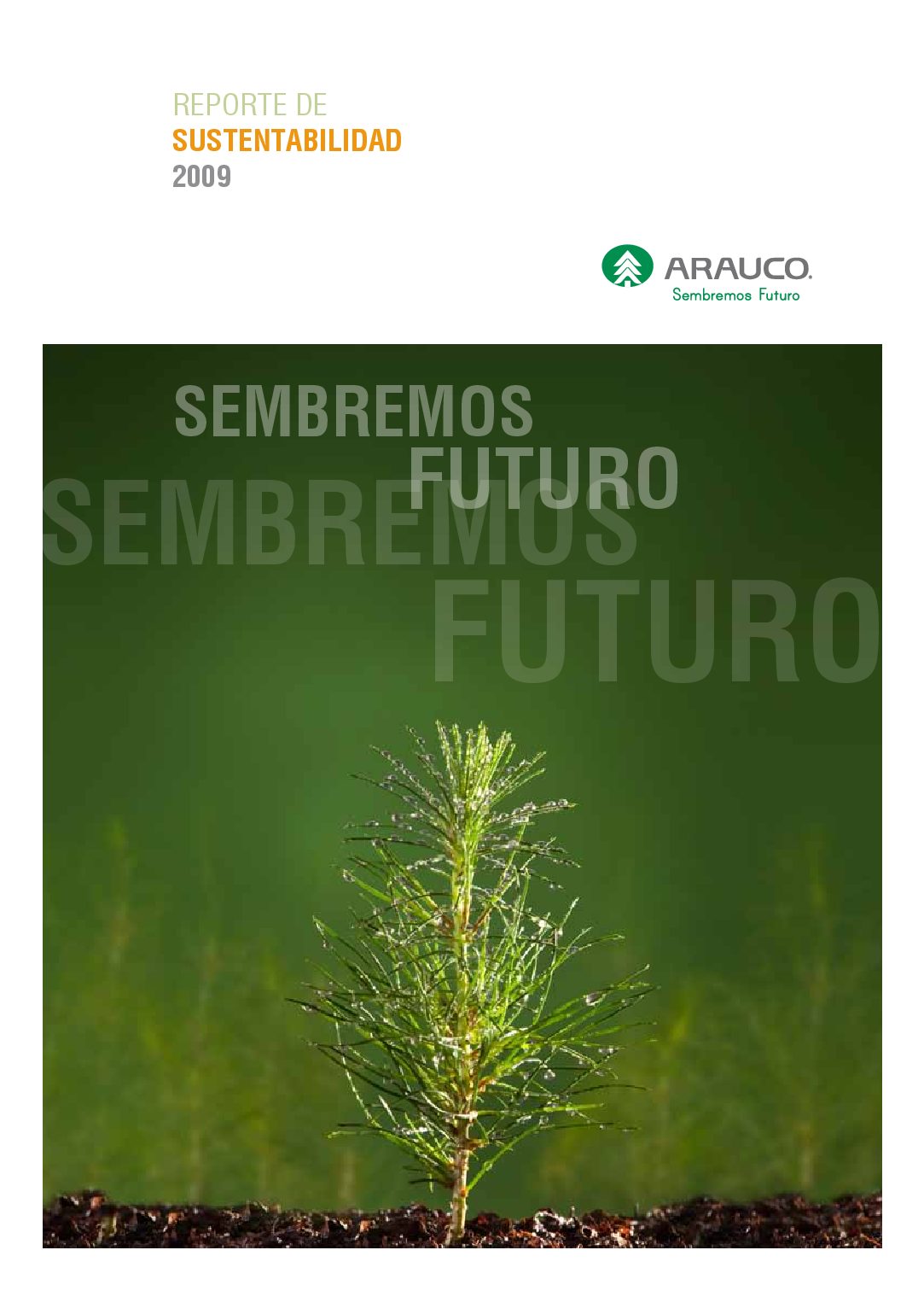 https://arauco.com/argentina/wp-content/uploads/sites/15/2017/07/Reporte-de-Sustentabilidad-2009-pdf.jpg