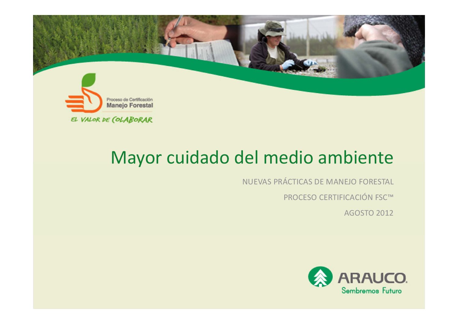 https://arauco.com/argentina/wp-content/uploads/sites/15/2017/07/mayor_cuidado_del_medio_ambiente-pdf.jpg