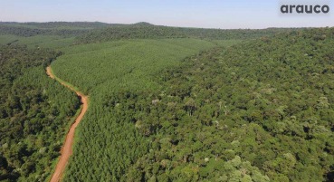 Resumen Publico del Plan de Manejo Forestal