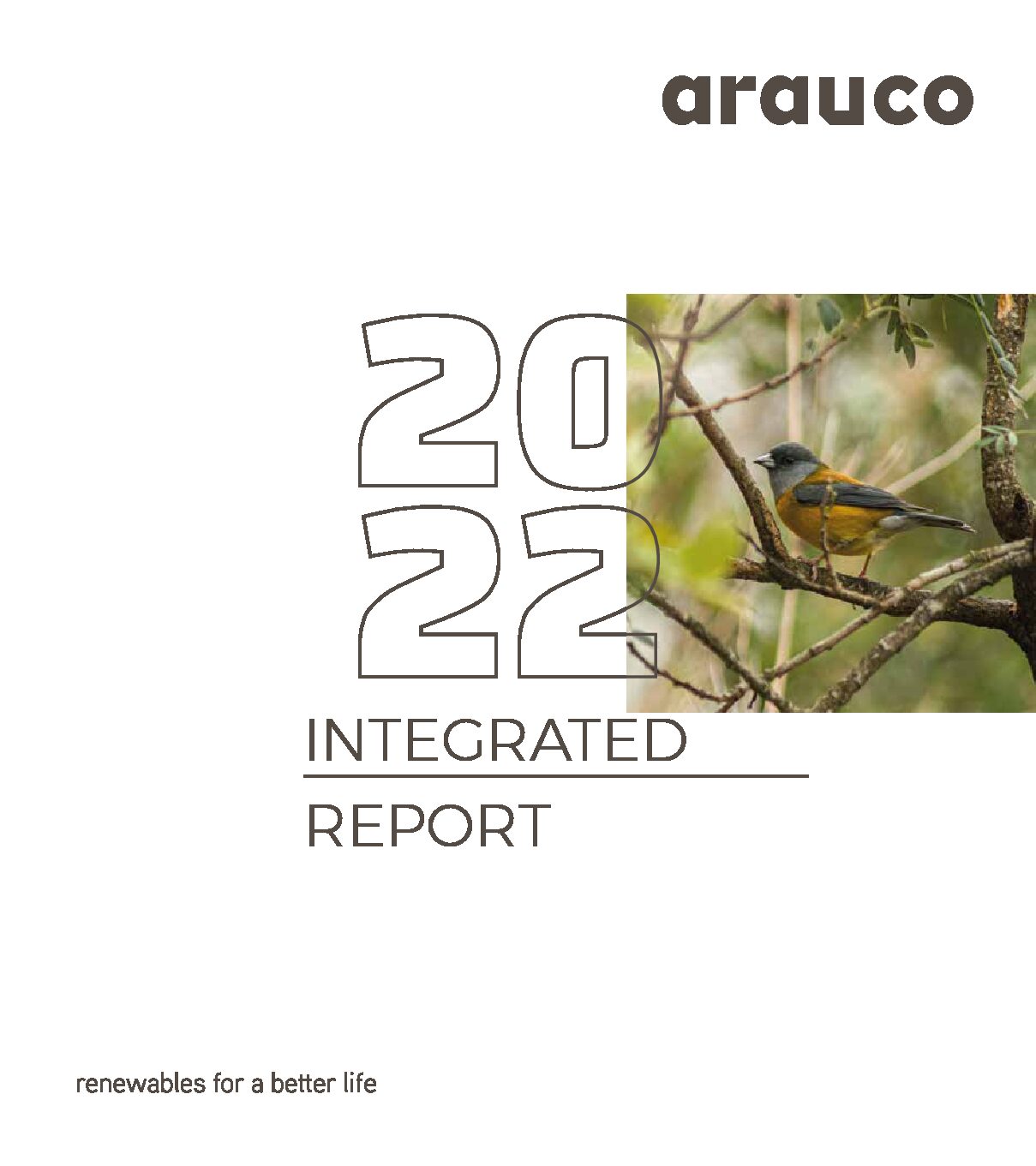 https://arauco.com/aus-nz/wp-content/uploads/sites/16/2017/07/2022-ARAUCO-INTEGRATED-REPORT-pdf.jpg