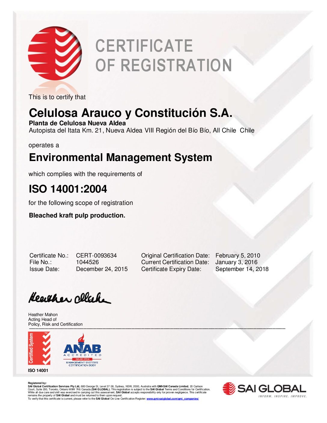 https://arauco.com/aus-nz/wp-content/uploads/sites/16/2017/07/ISO-14001_ING-NUEVA-ALDEA-pdf.jpg