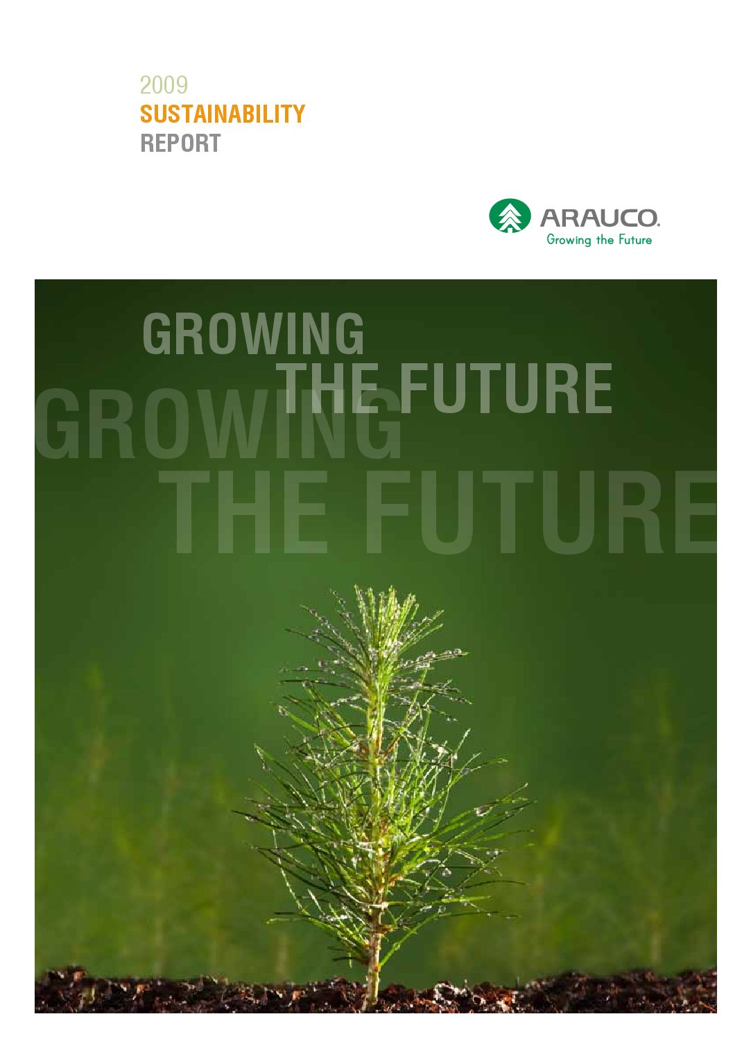 https://arauco.com/aus-nz/wp-content/uploads/sites/16/2017/07/Sustaintability-Report-2009-pdf.jpg