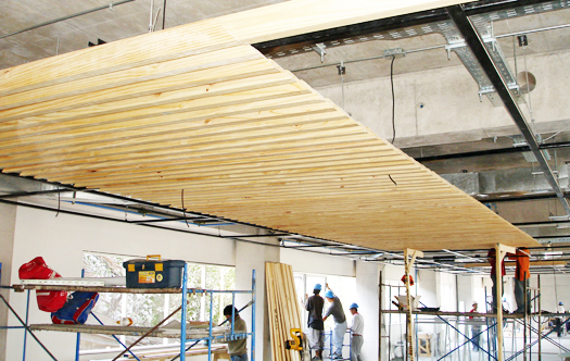 https://arauco.com/cam-carib/wp-content/uploads/sites/27/1970/01/02-33511-Duoc-Puente-Alto.jpg