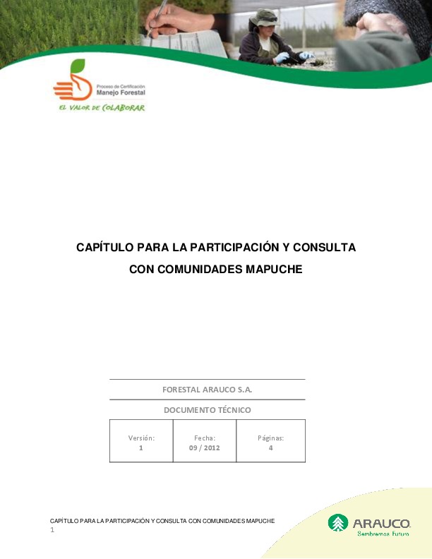 Capítulo Participación y Consulta Comunidades Mapuche 2012 09