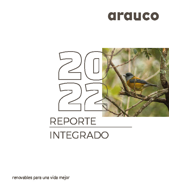 Reporte Integrado 2022