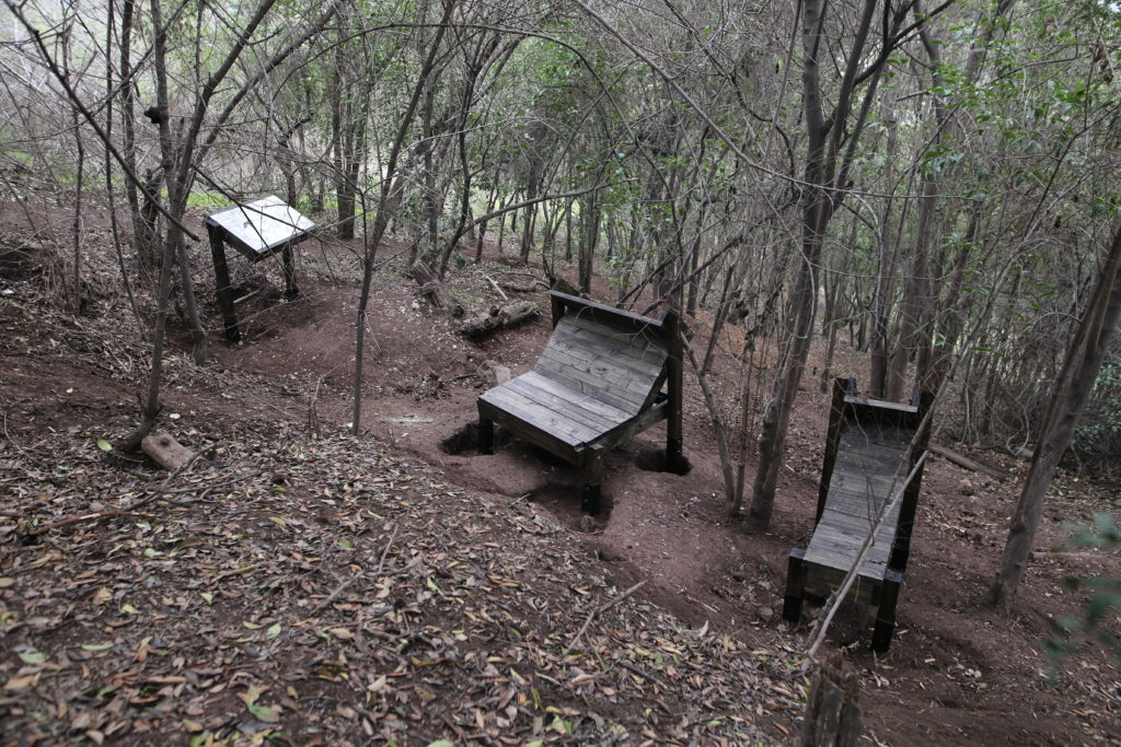 https://arauco.com/chile/wp-content/uploads/sites/14/1970/01/reobserva-un-proyecto-universitario-para-areas-silvestres_490162822_6-1024x683.jpg