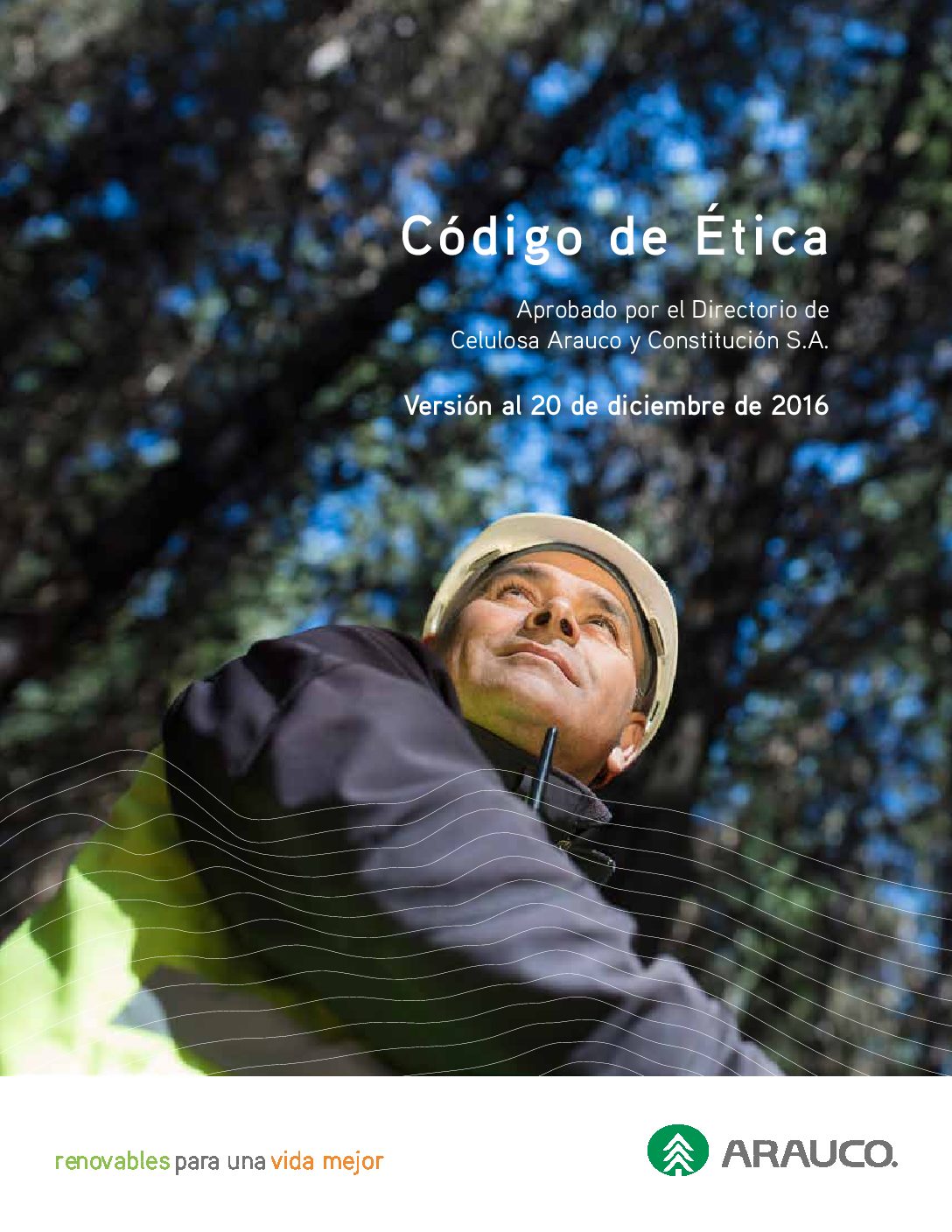 https://arauco.com/chile/wp-content/uploads/sites/14/2017/07/Código-de-Etica-2-pdf.jpg