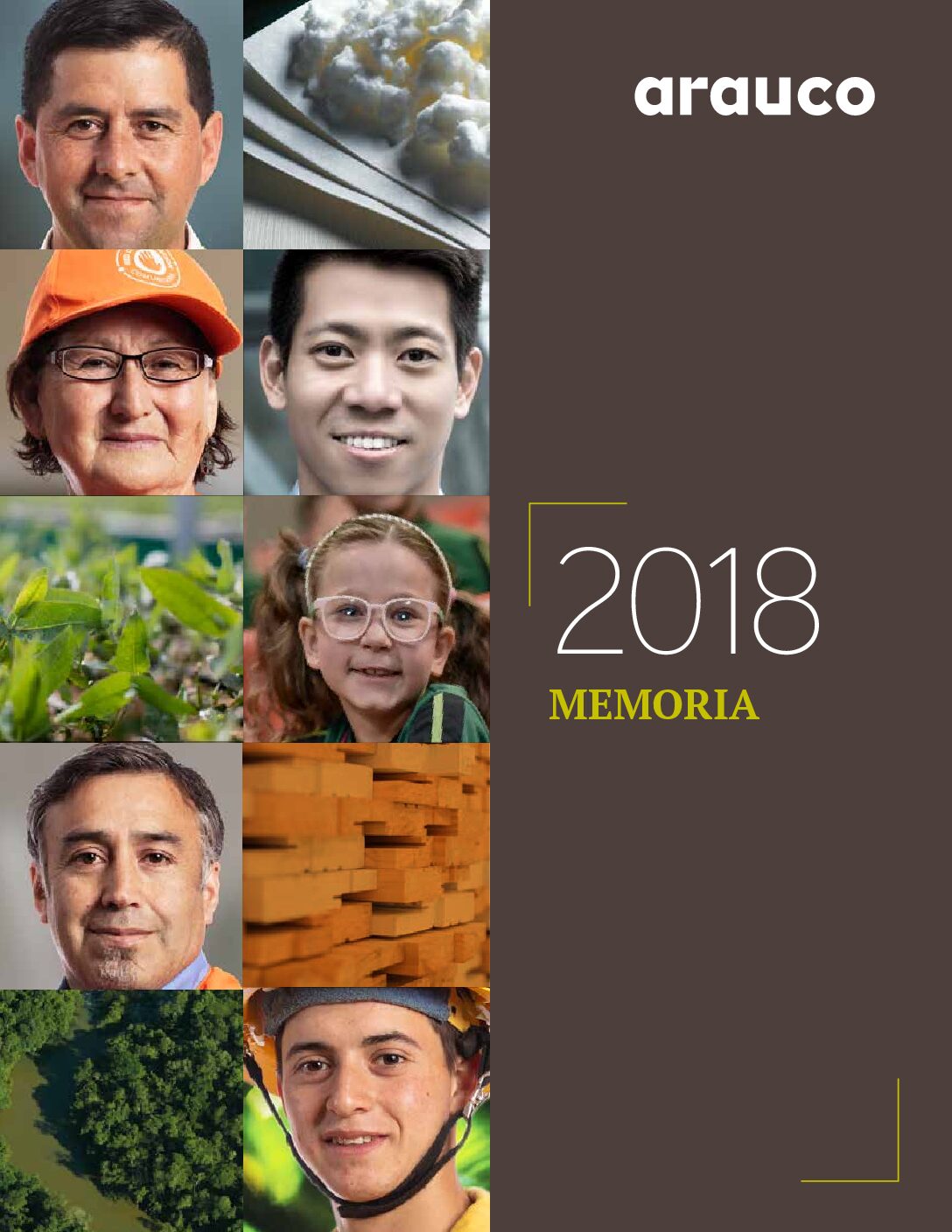 https://arauco.com/chile/wp-content/uploads/sites/14/2017/07/MEMORIA_CASA_2018-pdf.jpg