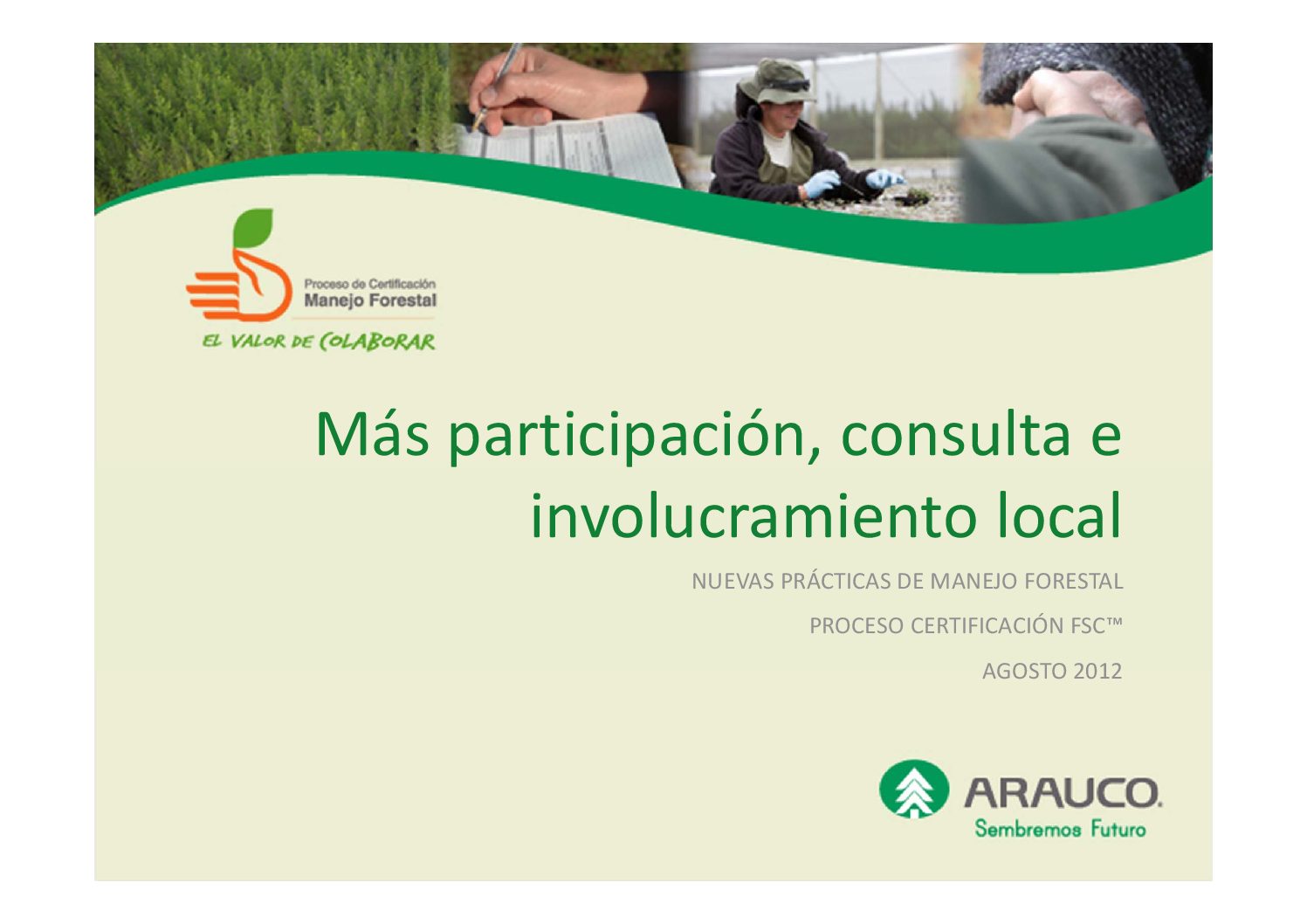 https://arauco.com/chile/wp-content/uploads/sites/14/2017/07/mas_participacion_consulta_e_involucramiento_local-pdf.jpg