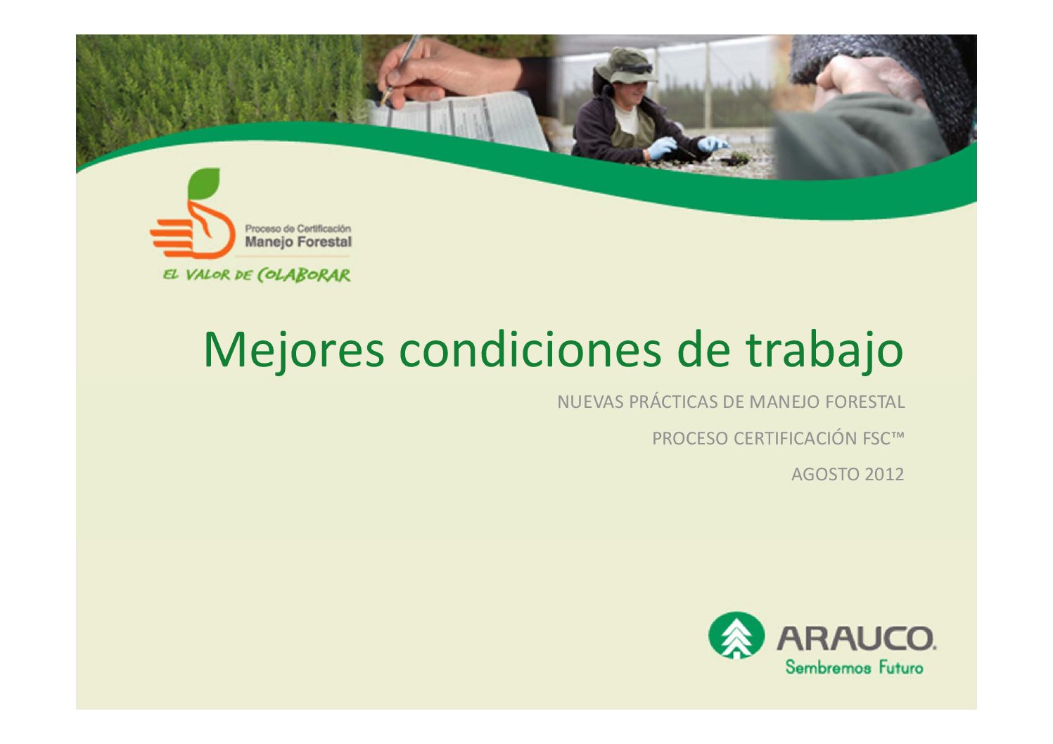 https://arauco.com/chile/wp-content/uploads/sites/14/2017/07/mejores_condiciones_de_trabajo-pdf.jpg