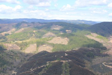 https://arauco.com/chile/wp-content/uploads/sites/14/2017/08/Certificadora-Woodmark-emite-informe-público-de-Auditoría-FSC™-al-área-Forestal-de-Arauco-en-Chile1.jpg