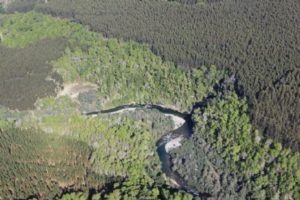 https://arauco.com/chile/wp-content/uploads/sites/14/2017/08/Forestal-Arauco-inicia-segunda-Auditoría-de-Seguimiento-de-la-certificación-de-manejo-forestal-FSC®1-300x200.jpg