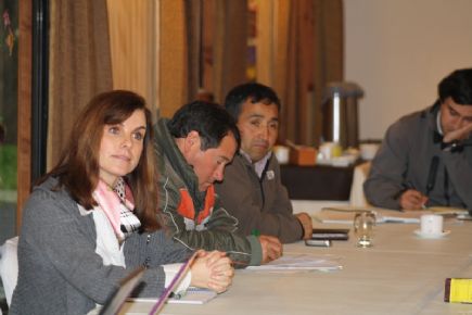 https://arauco.com/chile/wp-content/uploads/sites/14/2017/08/Foro-Temático-Mapuche-inicia-nueva-etapa-de-reuniones1.jpg
