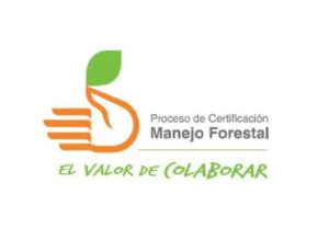 https://arauco.com/chile/wp-content/uploads/sites/14/2017/08/Mañana-comienza-Auditoría-Manejo-Forestal-FSC1-300x208.jpg