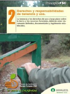 https://arauco.com/chile/wp-content/uploads/sites/14/2017/08/Principio-2-de-FSC-se-“toma”-el-área-forestal-de-Arauco1-223x300.jpg