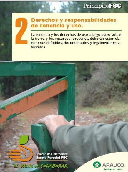 https://arauco.com/chile/wp-content/uploads/sites/14/2017/08/Principio-2-de-FSC-se-“toma”-el-área-forestal-de-Arauco1.jpg