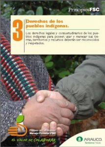 https://arauco.com/chile/wp-content/uploads/sites/14/2017/08/Área-Forestal-de-ARAUCO-inicia-campaña-sobre-Principio-3-FSC1-214x300.jpg