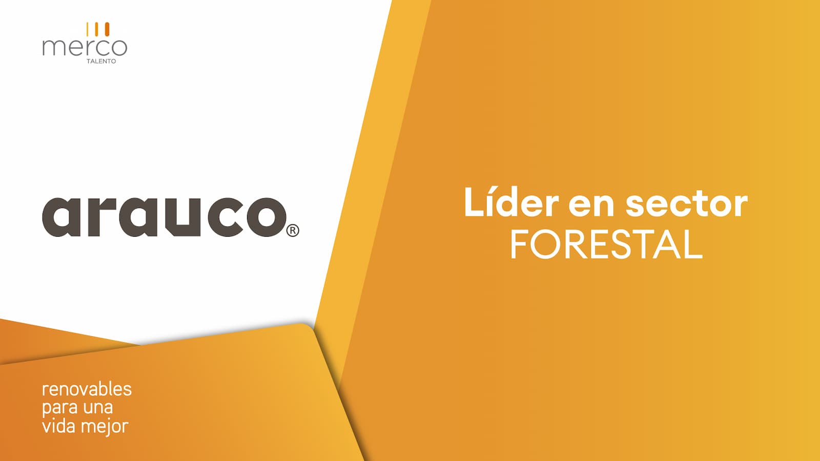 ARAUCO lidera industria forestal en Ranking Merco Talento 2024