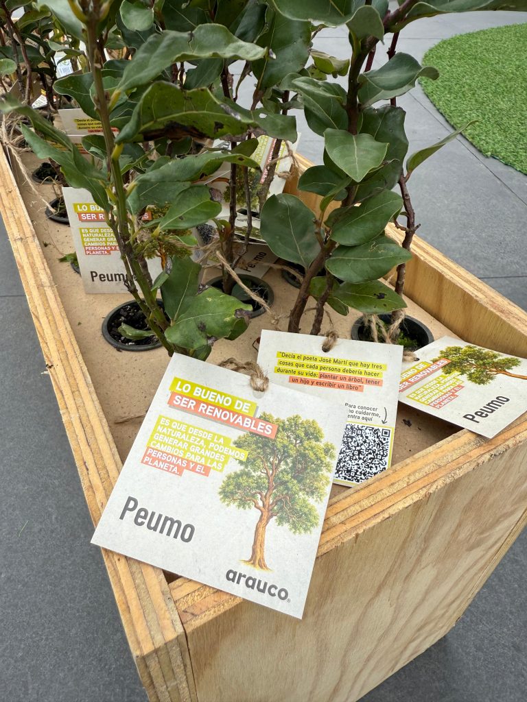 https://arauco.com/chile/wp-content/uploads/sites/14/2025/07/WhatsApp-Image-2025-06-30-at-9.46.42-AM-1-768x1024.jpeg