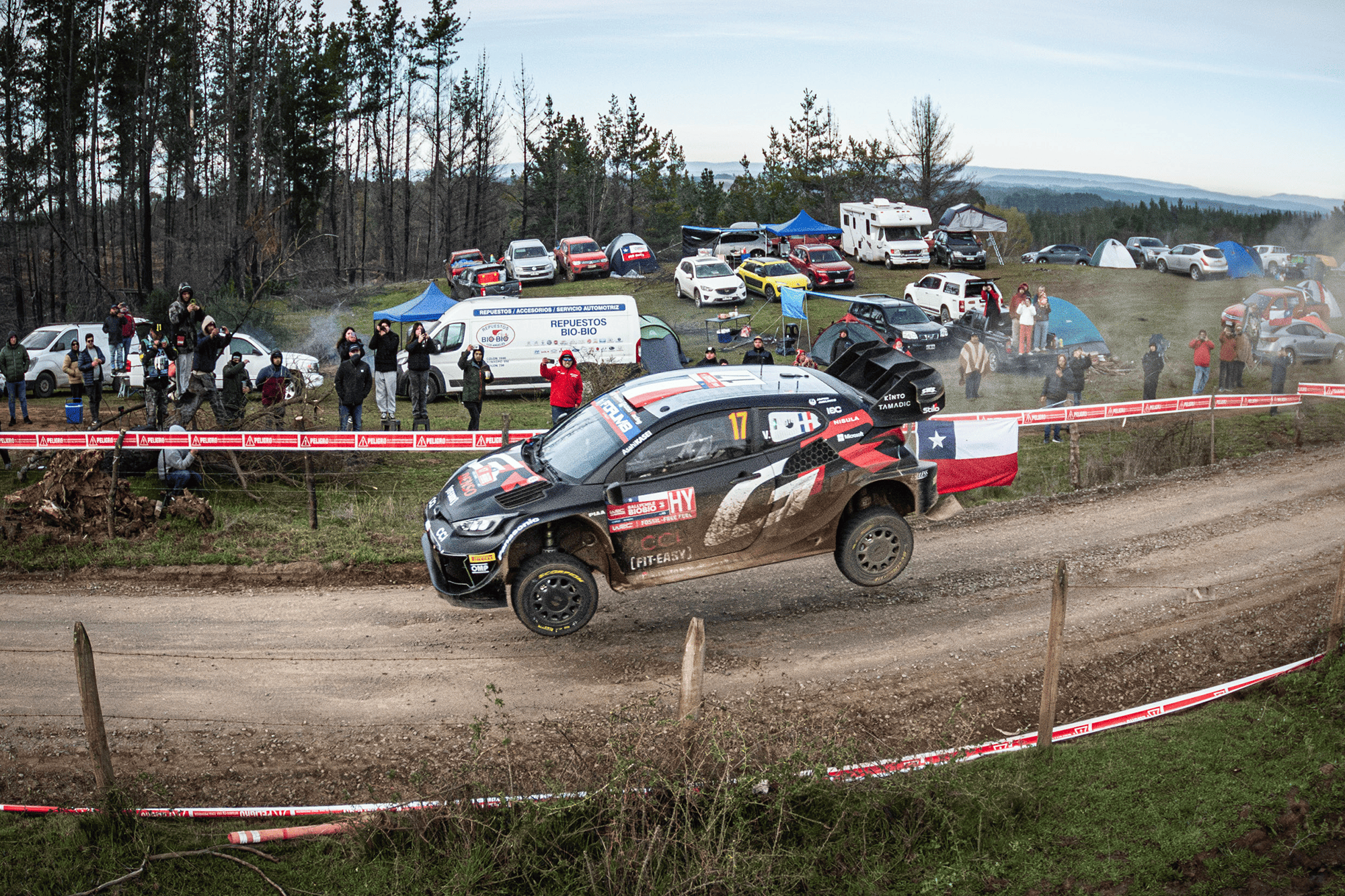 Momento WRC 6