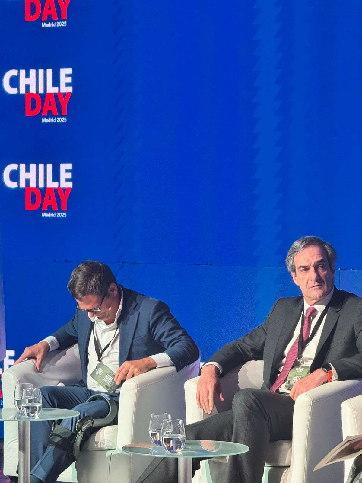 De Chile al mundo: Arauco lleva la voz de la industria forestal al Chile Day