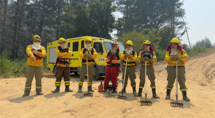 Actualización Incendios Biobío / Ñuble