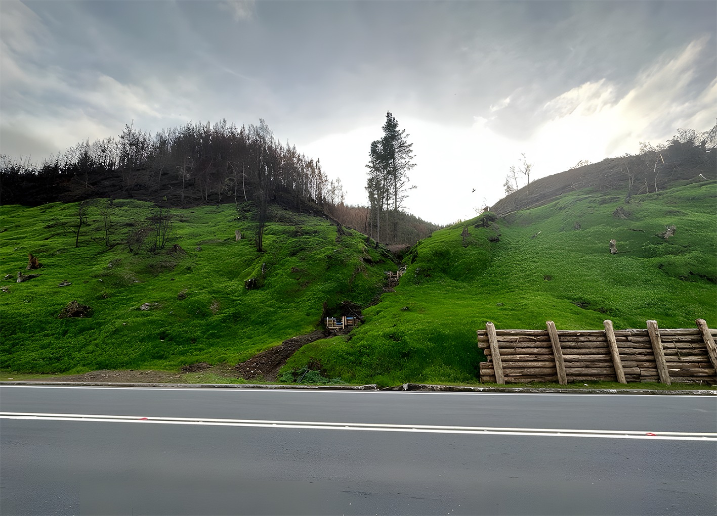 Plan post-emergencia: Los desafíos sociales y ambientales tras los incendios en Penco y Concepción