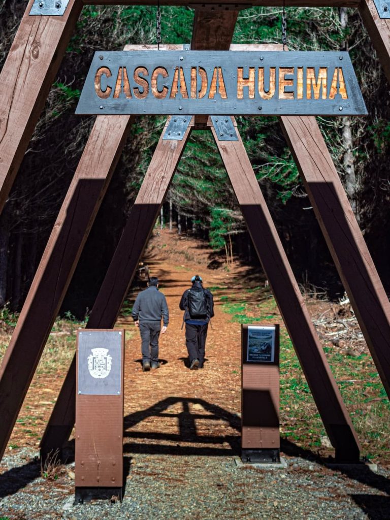 https://arauco.com/chile/wp-content/uploads/sites/14/2026/07/3-_3_-_1_-768x1024.jpeg