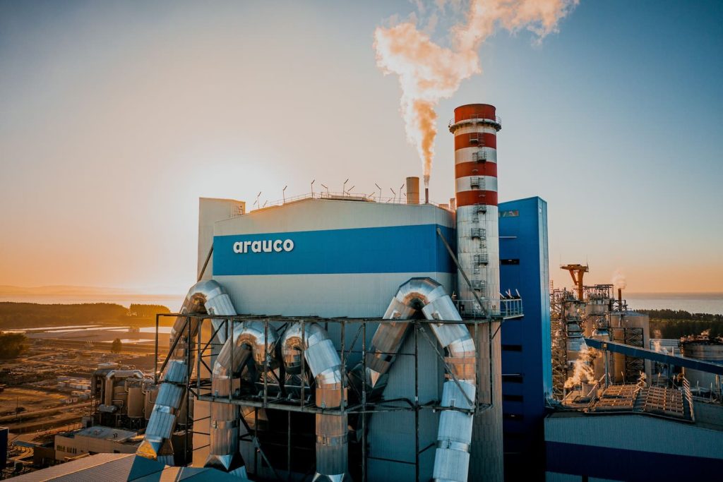 https://arauco.com/chile/wp-content/uploads/sites/14/2026/08/IMG_9674-1024x683.jpg