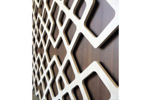https://arauco.com/colombia/wp-content/uploads/sites/18/1970/01/100_02_16145_web_asol_panel_store_mexico_06_oct_2015-300x200.jpg