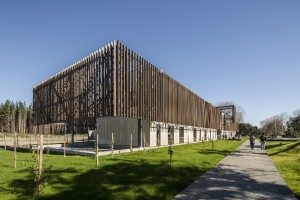 Campus Arauco gana importante premio internacional de diseño y arquitectura