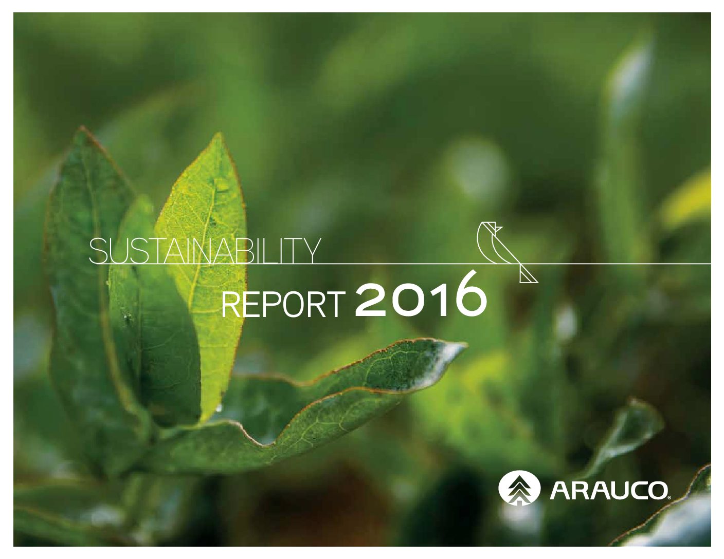 https://arauco.com/mo/wp-content/uploads/sites/25/2017/07/Sustaintability-Report-2016-pdf.jpg