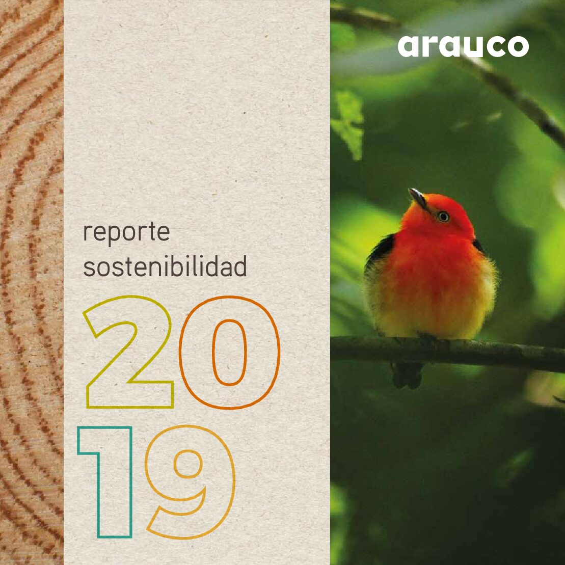https://arauco.com/peru/wp-content/uploads/sites/22/2017/07/REPORTE_ESPAÑOL_2019_web-pdf.jpg