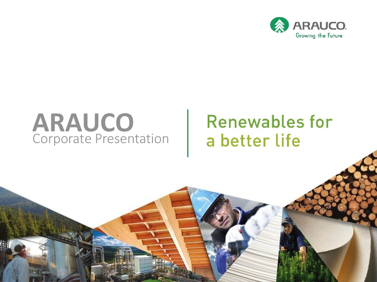 https://arauco.com/uk/wp-content/uploads/sites/28/2018/08/1-Presentación-Corporativa-2015-pdf.jpg