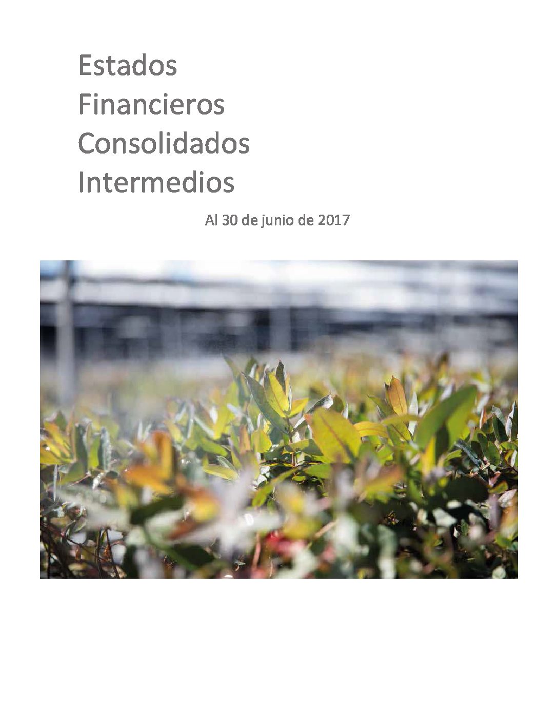 https://arauco.com/uk/wp-content/uploads/sites/28/2018/08/Estados-Financieros-2017.06-pdf.jpg