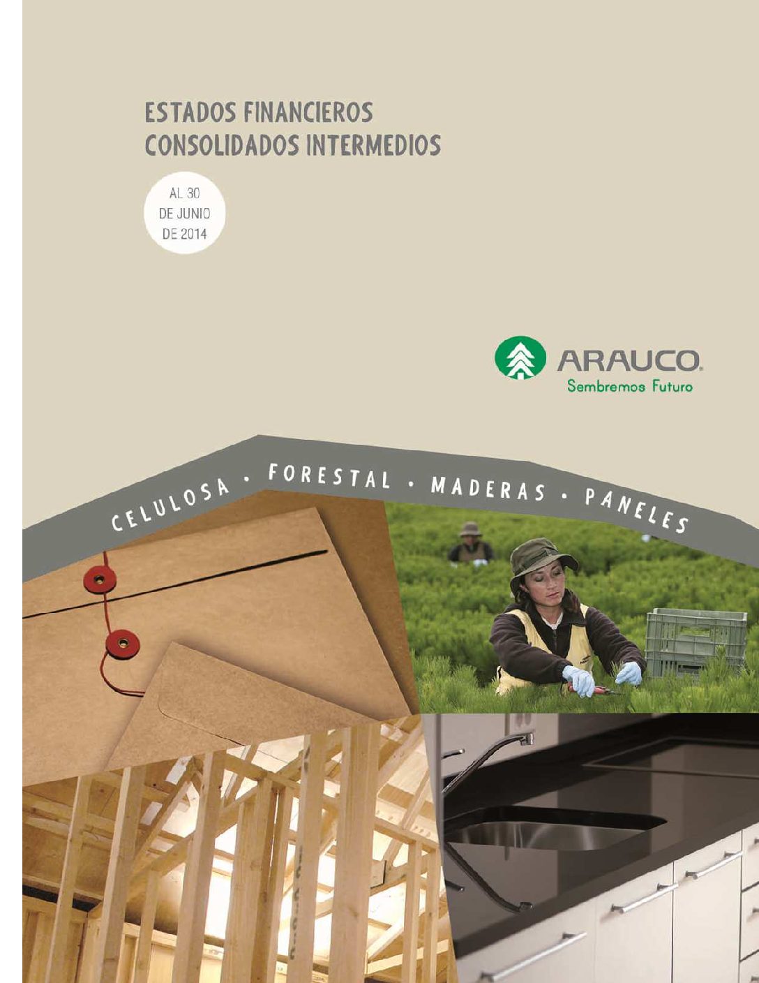 https://arauco.com/uk/wp-content/uploads/sites/28/2018/08/Estados-Financieros-2do-Trimestre-2014-pdf.jpg