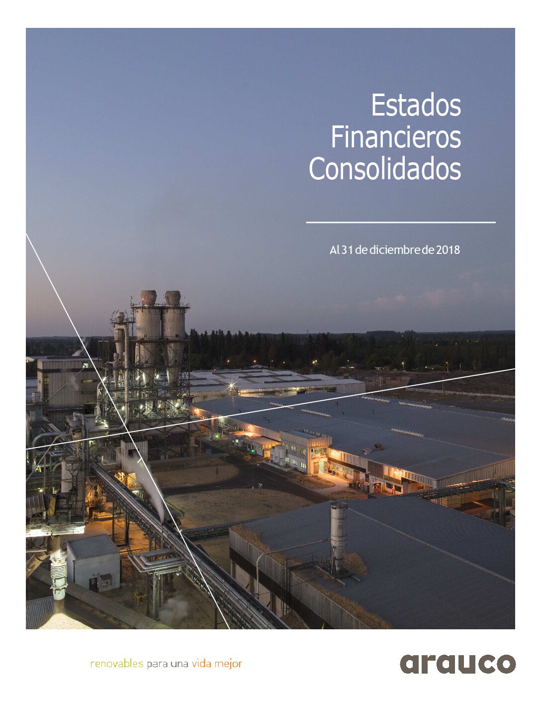 https://arauco.com/uk/wp-content/uploads/sites/28/2019/03/Estados_financieros-2018.12-pdf.jpg