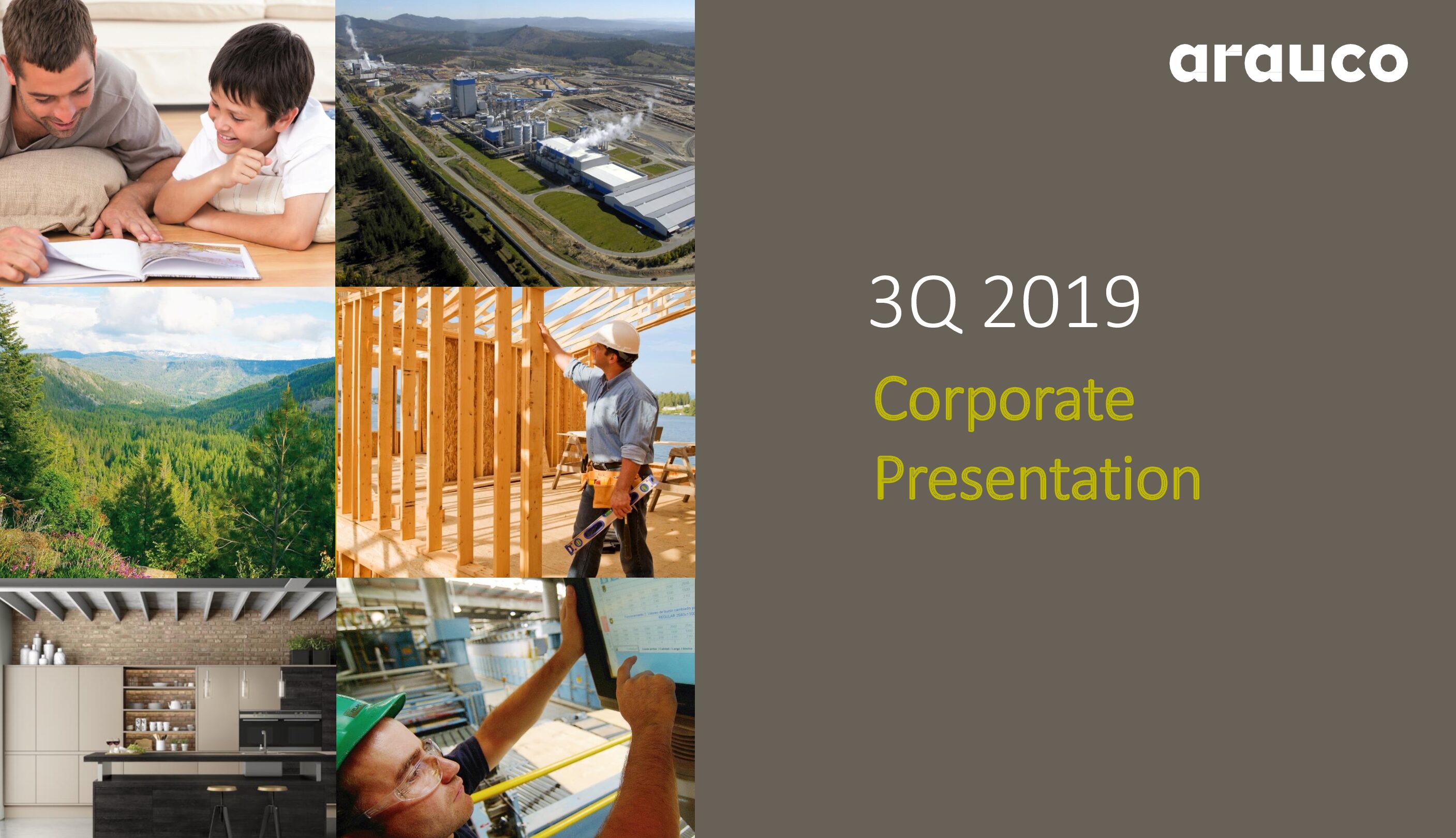 https://arauco.com/uk/wp-content/uploads/sites/28/2020/01/2019.09-Corporate-Presentation-VF-pdf.jpg