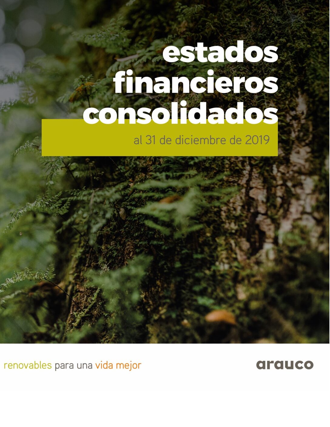 https://arauco.com/uk/wp-content/uploads/sites/28/2020/03/Estados_financieros-2019.03-pdf.jpg