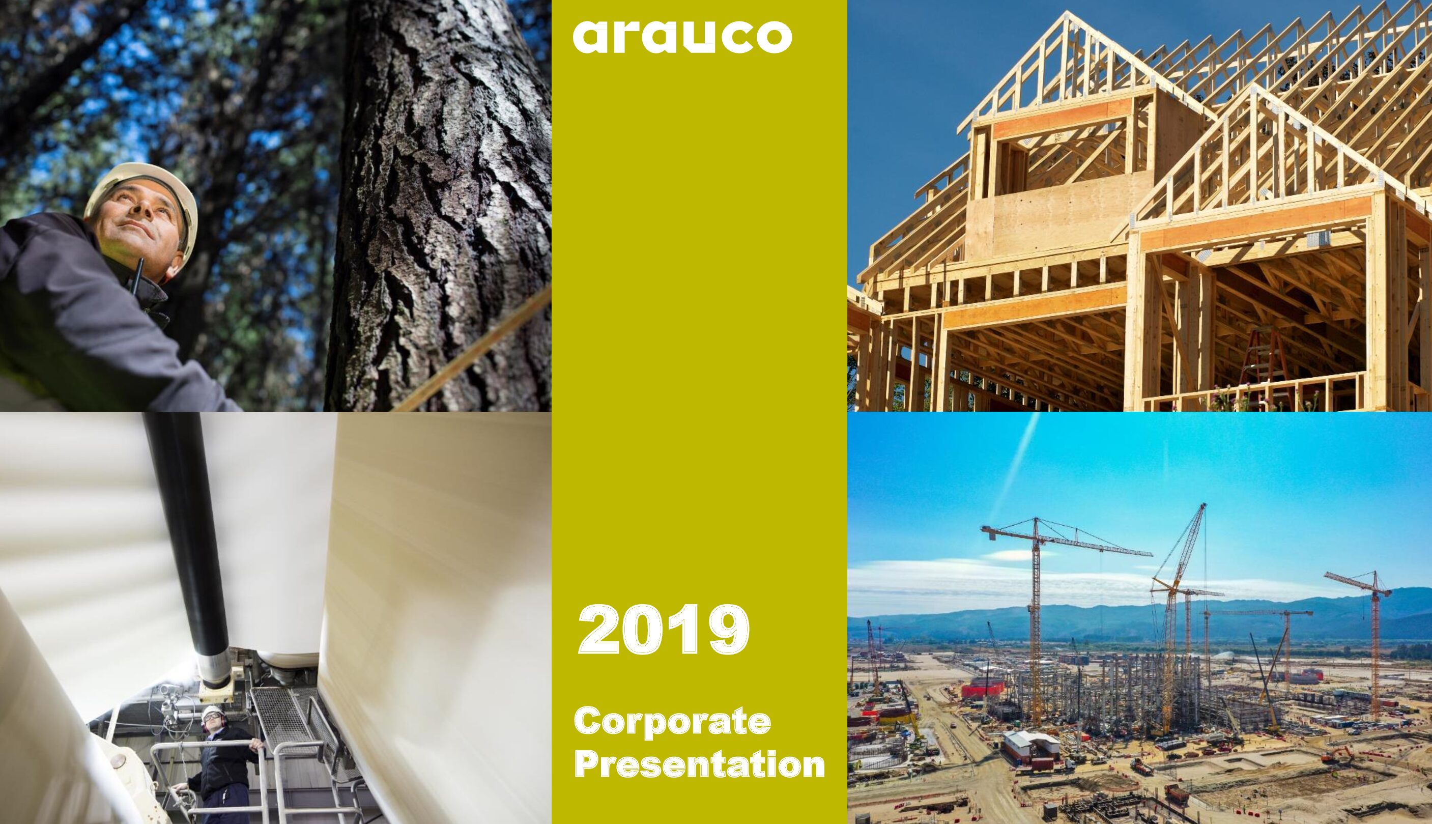 https://arauco.com/uk/wp-content/uploads/sites/28/2020/06/2019.12-Corporate-Presentation-VF2-pdf.jpg