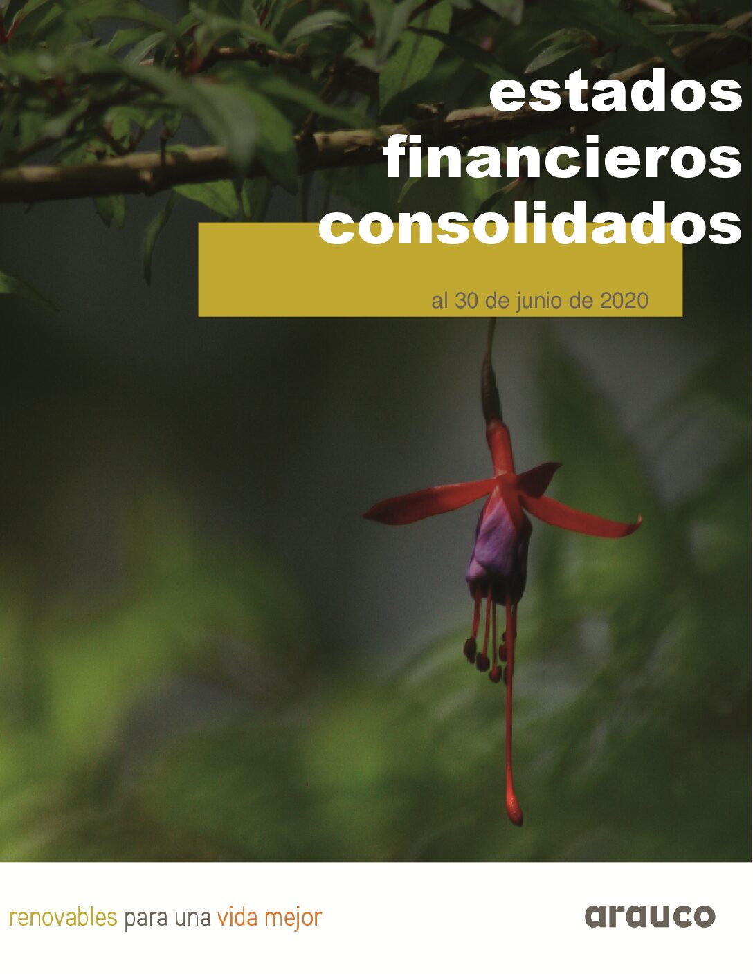 https://arauco.com/uk/wp-content/uploads/sites/28/2020/08/Estados_financieros-2020.06-pdf.jpg