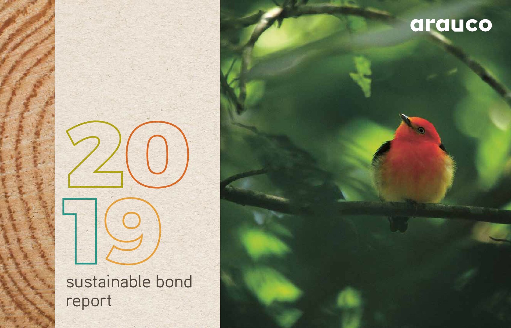 https://arauco.com/uk/wp-content/uploads/sites/28/2020/10/ARAUCO-Sustainable-Bond-Report-2020-pdf.jpg