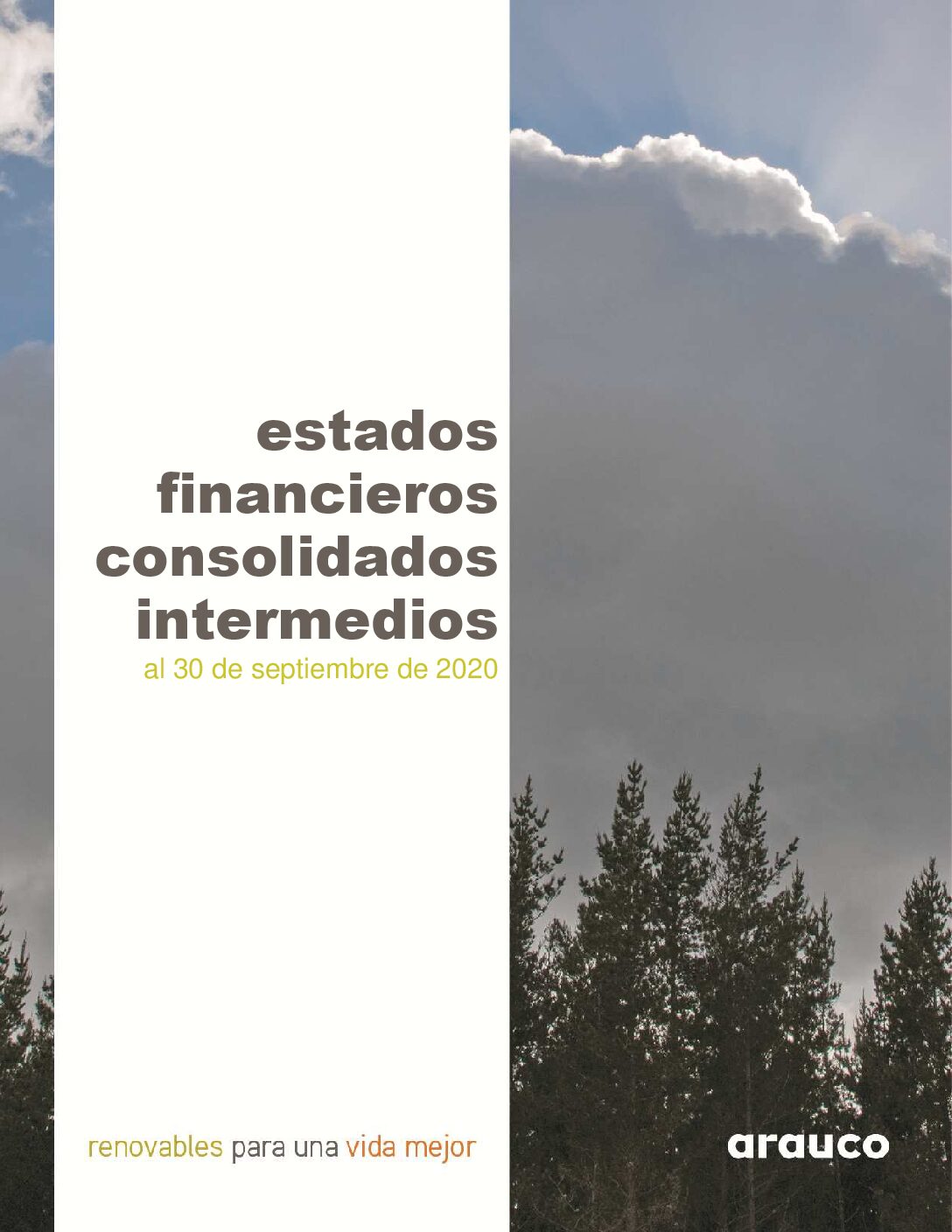 https://arauco.com/uk/wp-content/uploads/sites/28/2020/11/ARAUCO-IFRS-SEPTIEMBRE-2020_2-pdf.jpg